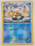 Oshawott 30/114 Reverse Holo