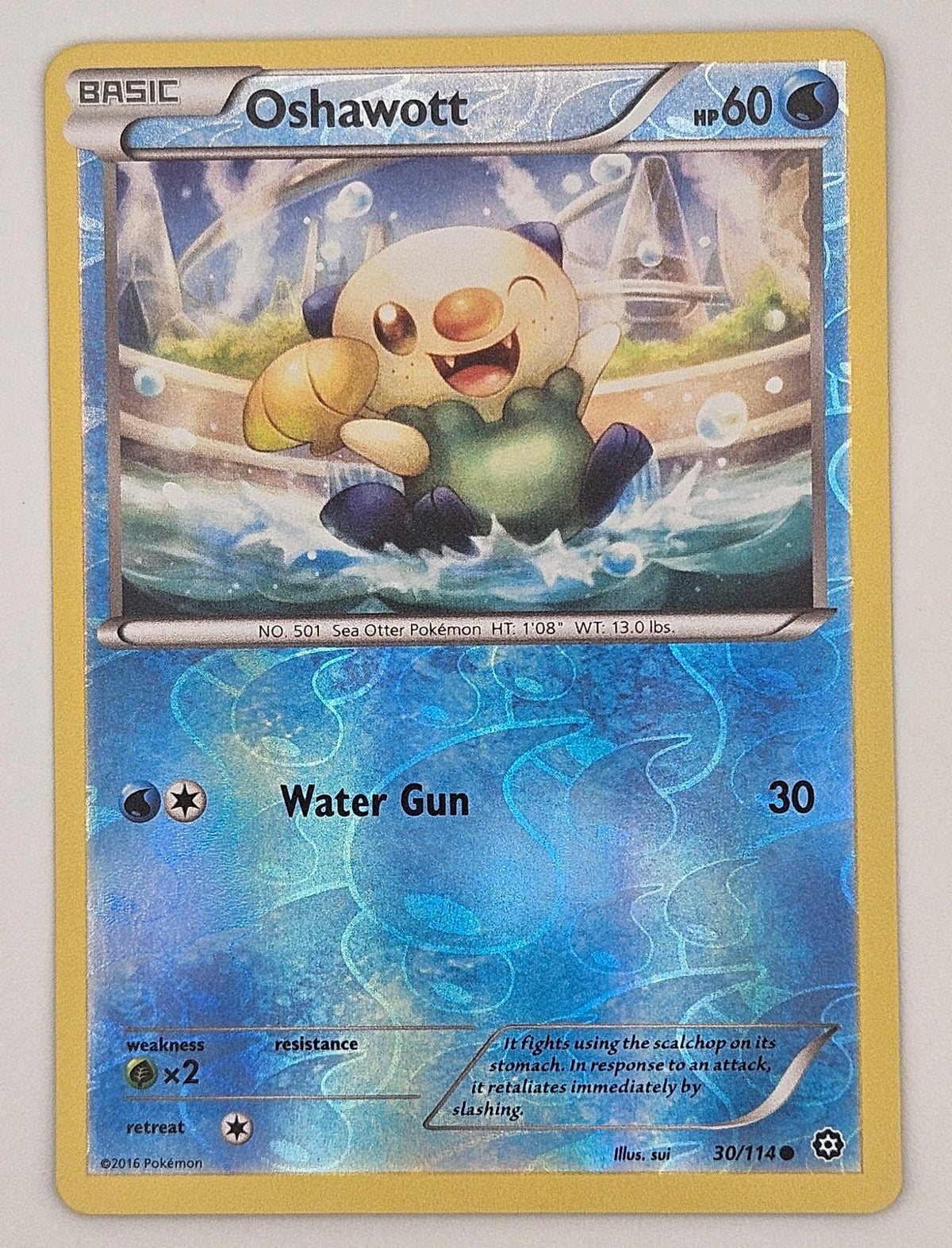Oshawott 30/114 Reverse Holo