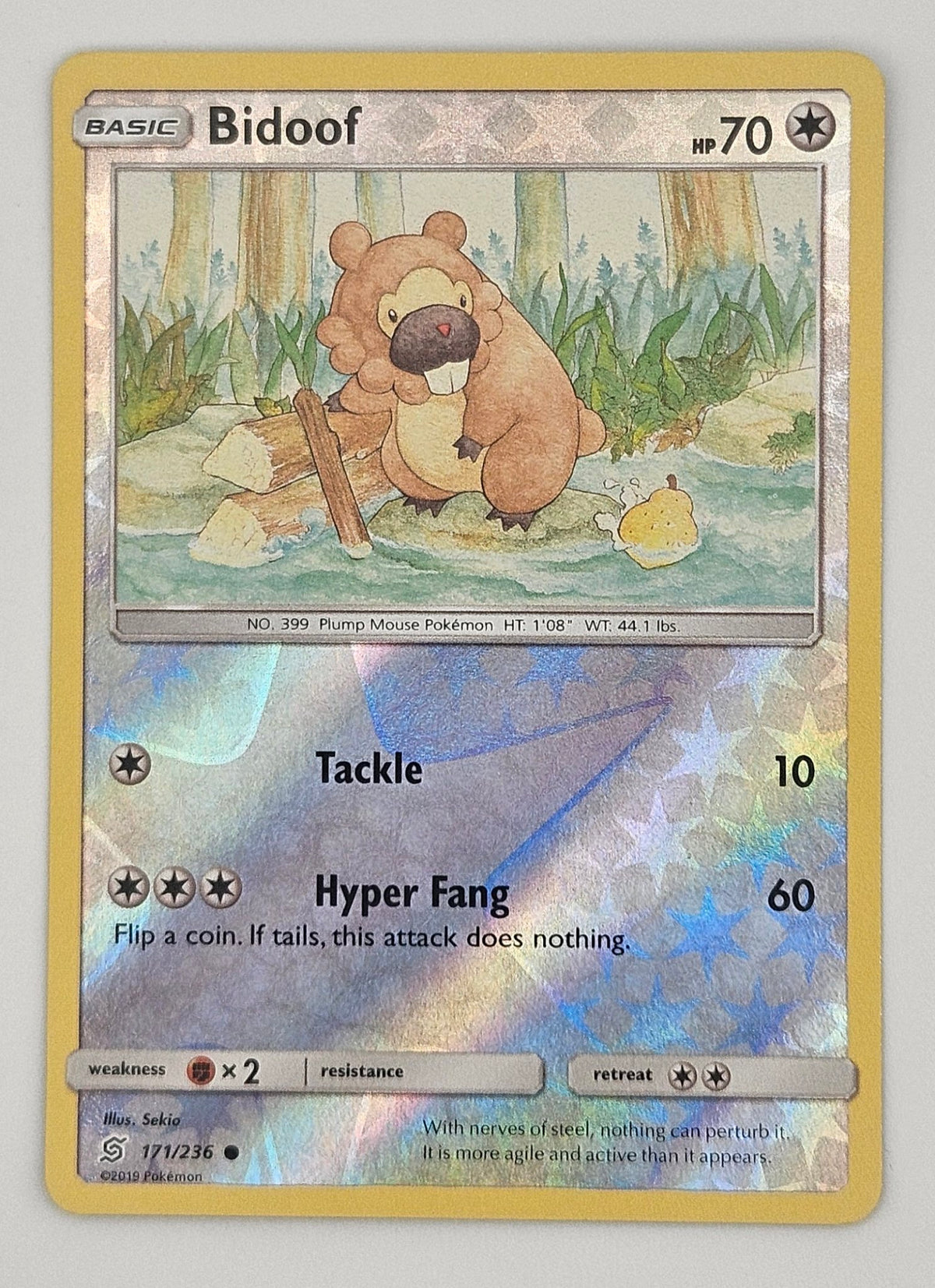 Bidoof 171/236 Reverse Holo