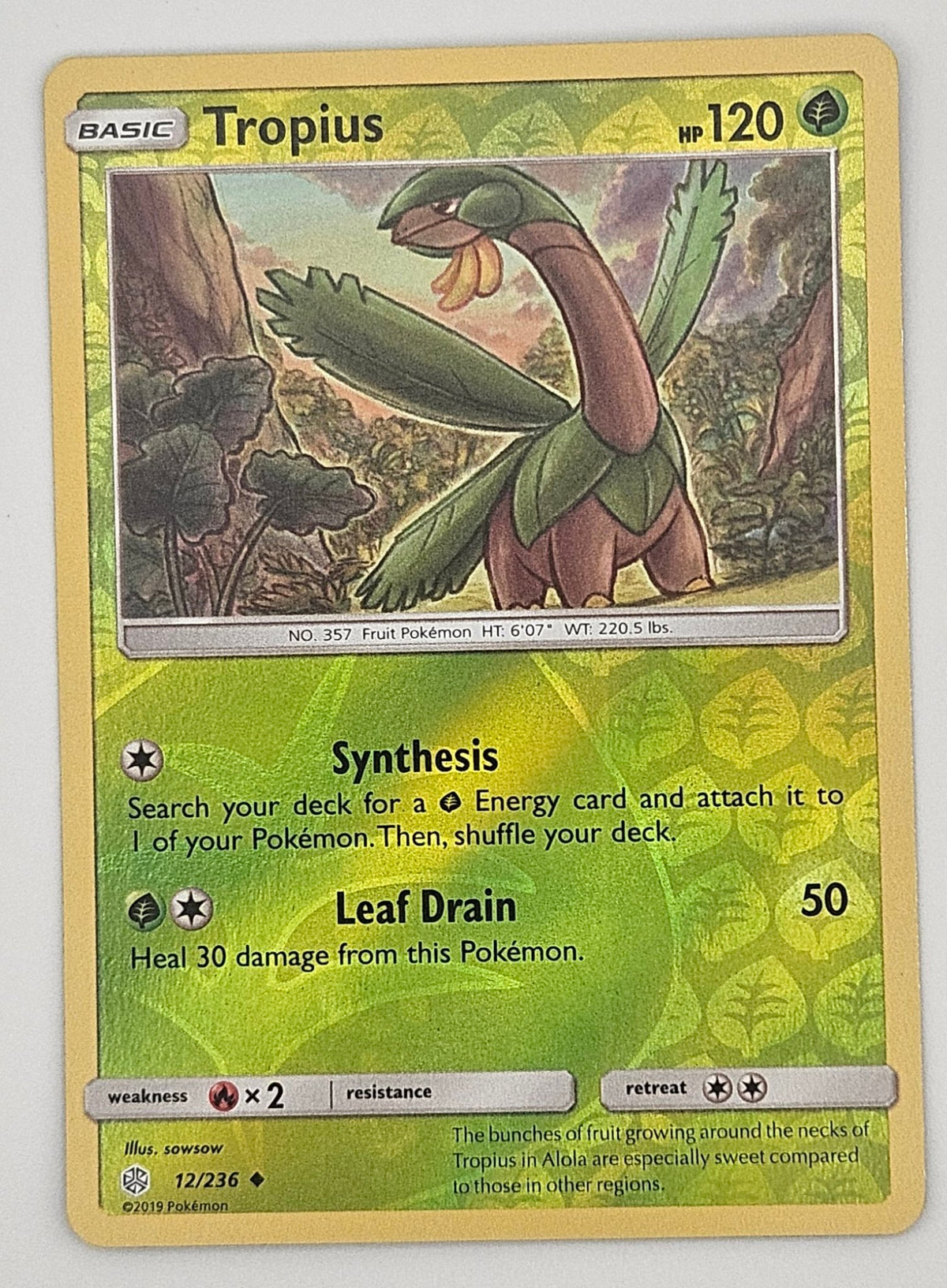 Tropius 12/236 Reverse Holo