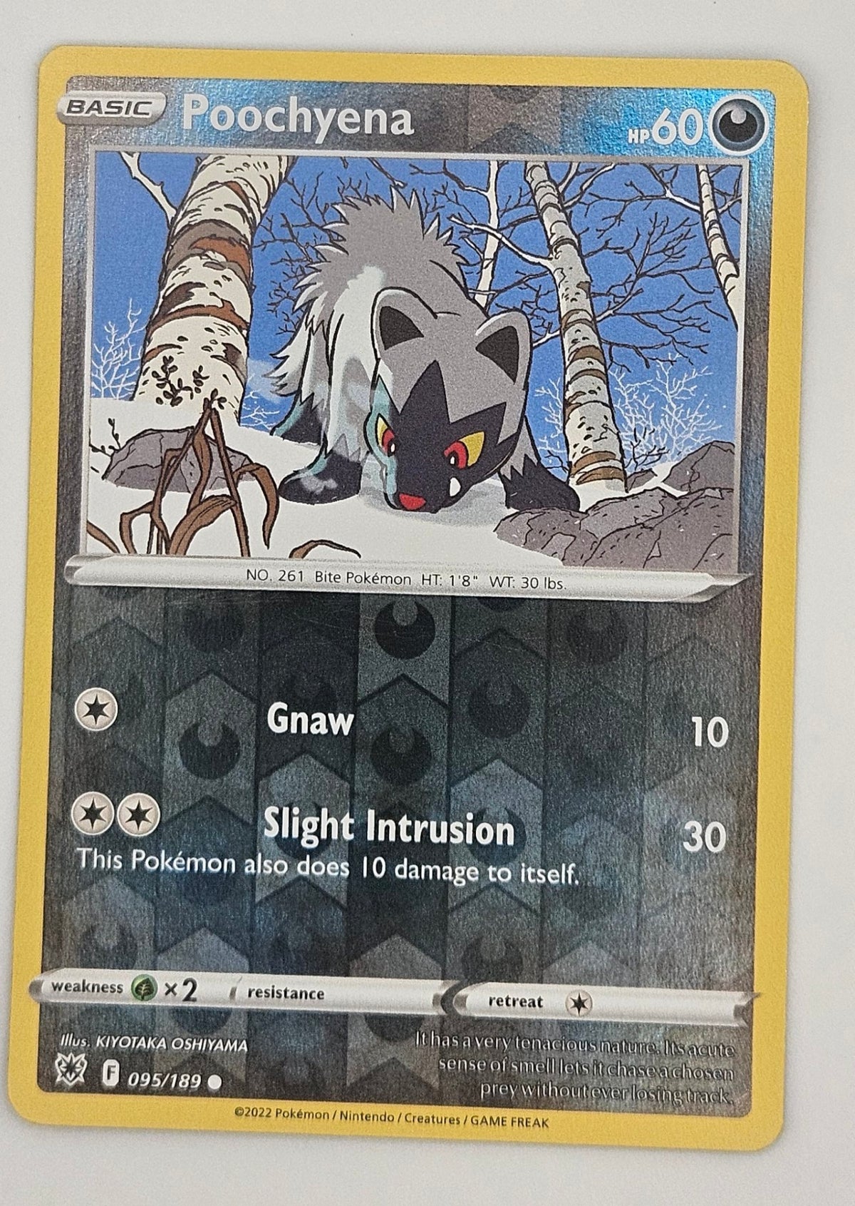 Poochyena 095/189 Reverse Holo