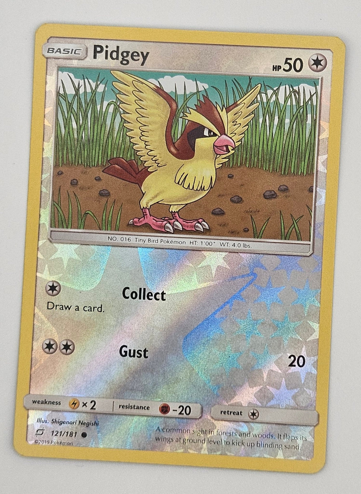 Pidgey 121/181 Reverse Holo