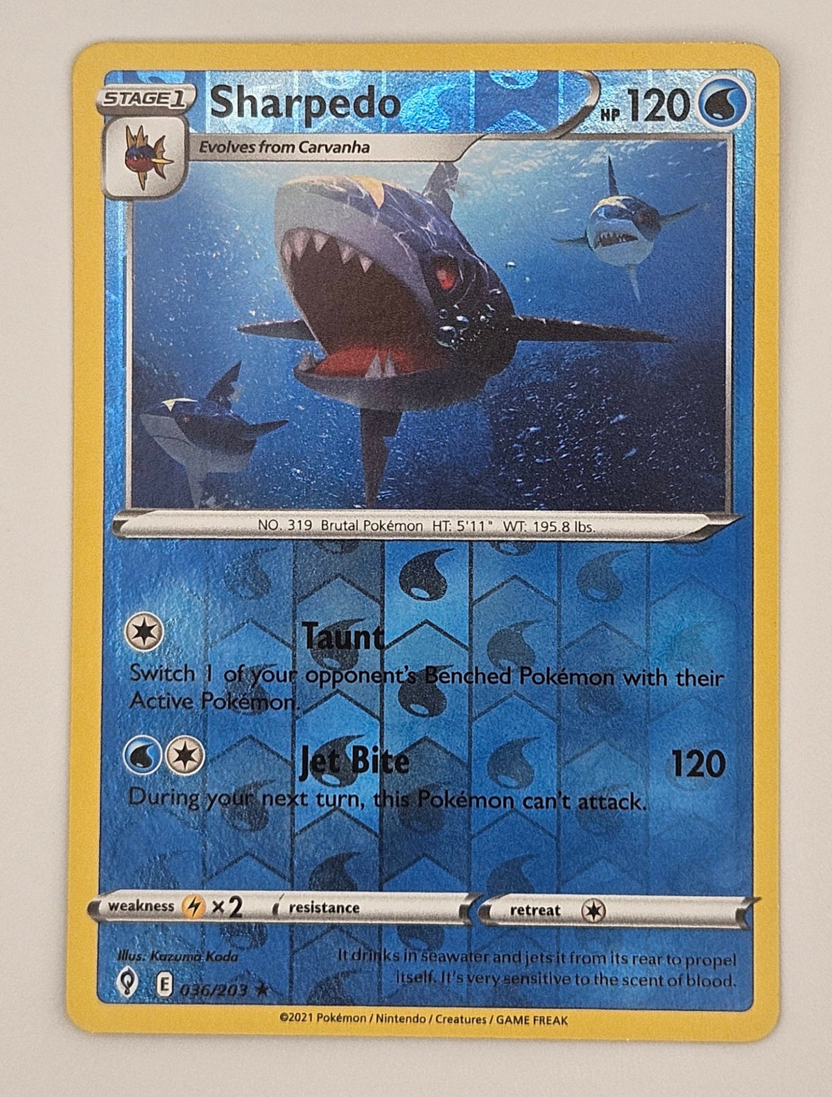 Sharpedo 036/203 Reverse Holo