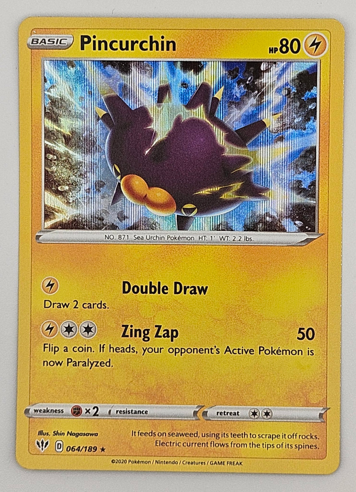 Pincurchin 064/189 Holo