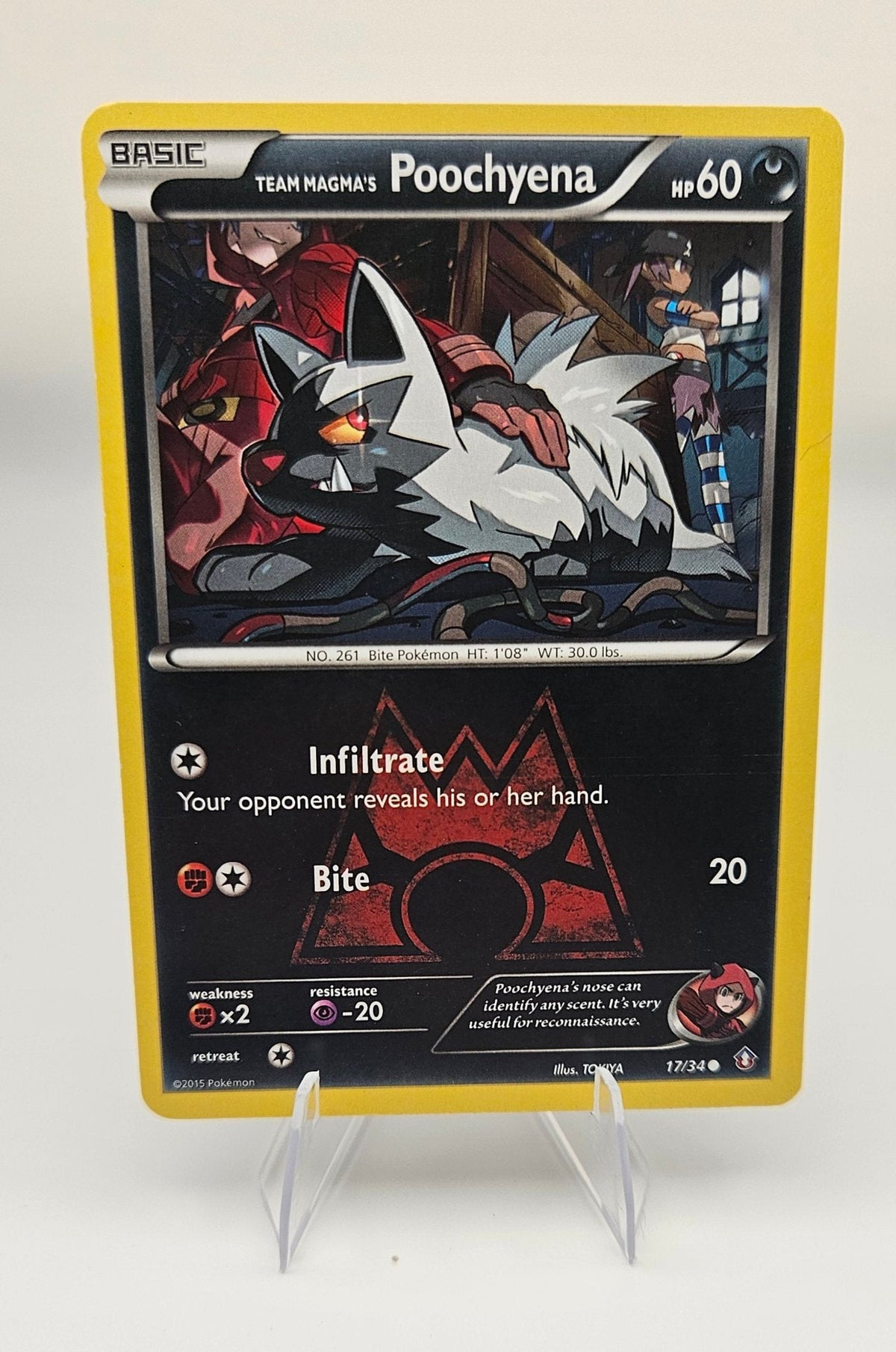 Team Magma's Poochyena 17/34 – Double Crisis