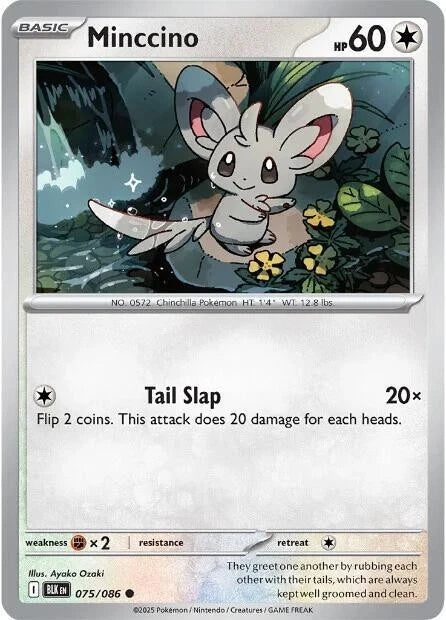 Minccino 075/086 Reverse Holo