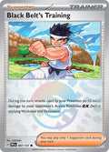 Black Belt's Training 097/131 Pokeball Pattern