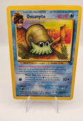 Omanyte 52/62 – Fossil